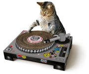 cat-turntable1.jpg