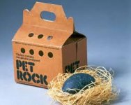 pet rock.jpg