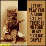 funny-cat-song-no-food.jpg