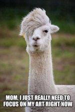 llama-meme-810_1375834487322_696374_ver1.0_640_480.jpg