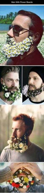 flowerbeards.jpg