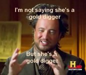 gold digger.jpg