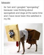 spongedog.jpg