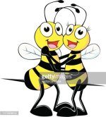 20247354-bee-a-happy-couple.jpg