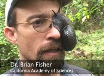 giant-snail-on-eye-dr-brian-fisher-california-academy-science.jpg