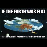 flatearthcats.jpg