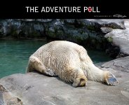 adventure-journal-poll-hungover-660.jpg