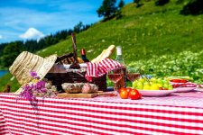 9536592-picnic-on-the-grass.jpg