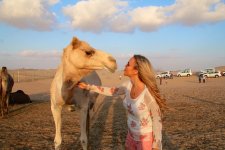 desert-safari-abu-dhabi.jpg