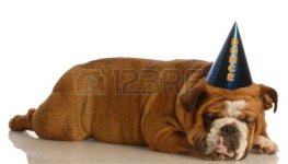 4432330-english-bulldog-stretched-out-sleeping-wearing-funny-dunce-cap.jpg