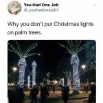 palmtrees.jpg