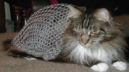 chainmail_cat_by_rossic.jpg