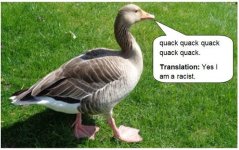 Duck.JPG