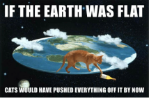 if-the-earth-was-flat-cats-would-have-pushed-everything-21419956.png