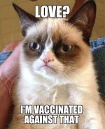 239540-Grumpy-Cat-Hates-Valentines-Day.jpg