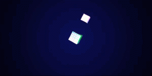 unterorbit-1.00001.gif