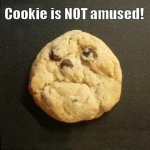 Vh-funny-food-cookie.jpg