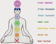 7-chakras-in-the-body-symbols-and-meaning-1024x810-meditationgongs.net_.jpg