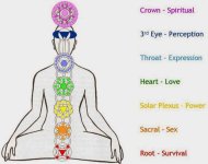 7-chakras-in-the-body-symbols-and-meaning-1024x810-meditationgongs.net_.jpg