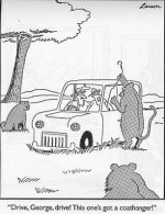 c91555e5b38631e0a9c4543b8ac2d757--far-side-cartoons-funny-cartoons.jpg