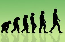 human-evolution-670.jpg