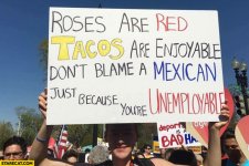 roses-are-red-tacos-are-enjoyable-dont-blame-a-mexican-just-because-youre-unemployable.jpg