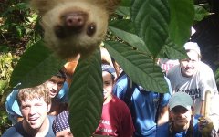 Sloth-Photobomb-2_2180959b.jpg