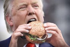 trump-cheeseburger-620x412.jpg