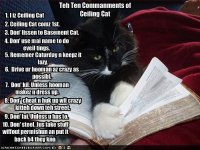 ceilingcatcommandments.jpg