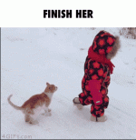 finish-her.gif