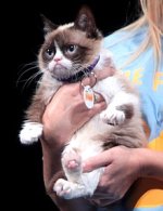 220px-Grumpy_Cat_by_Gage_Skidmore.jpg