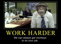 Funny-Work-Harder-Picture.jpg