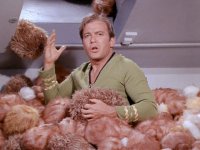 tribble-thetroublewithtribbles2.jpg