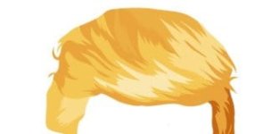 trump-wig-324x160.jpg