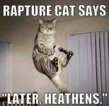 rapturecat.jpg