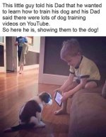 dog training.jpg