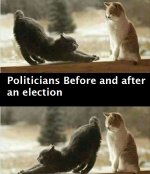 politicians-before-after.jpg