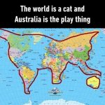 world-is-a-cat.jpg