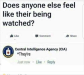 cia their.png
