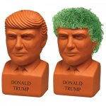 donald-trump-chia-pet.jpg