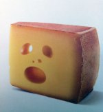 35df0cb9222223871d5b8c49e4d31ec6--swiss-cheese-funny-food.jpg