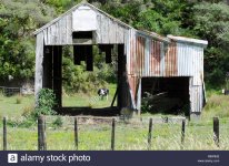 black-and-white-cow-looking-through-derelict-barn-mount-messenger-taranaki-north-island-new-zeal.jpg