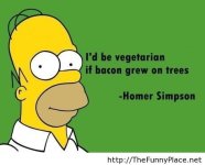 Vegetarian-saying-funny.jpg