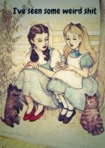 alice meets dorothy.jpg