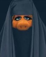 burqa-piggy1.jpg