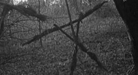 BlairWitchProject-thumb-550x300-12916.jpg