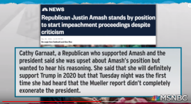 amash_trump.png