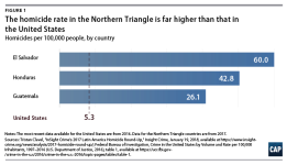 They-Are-Still-Refugees-webfig1.png