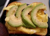 avocadotoast.jpg