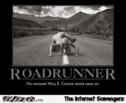 27-roadrunner-demotivational-adult-humor.jpg